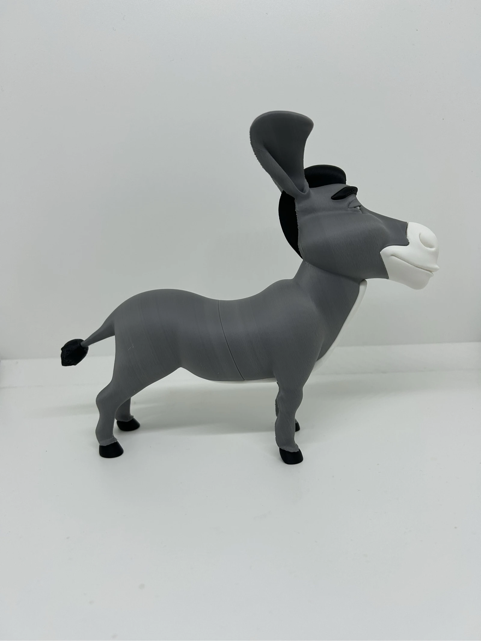Burrinho – photo 2